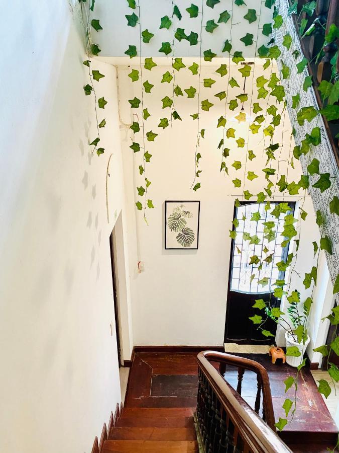 Tabi Homestay Huế Kültér fotó